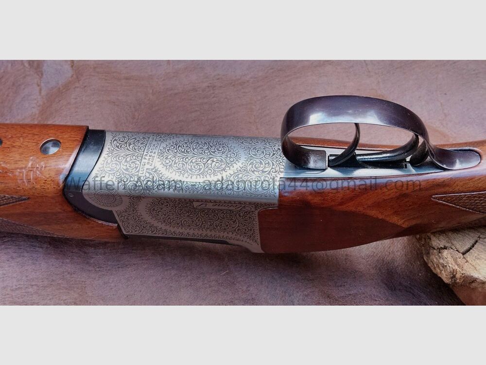 Luigi Franchi, Brescia / Italy Alcione S ; BDF Sport