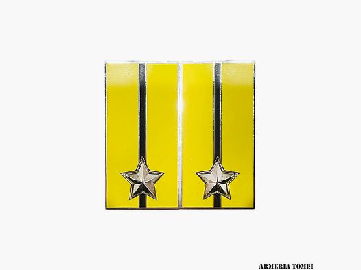 HEER – PAAR ABZEICHEN DIVISION AQUA