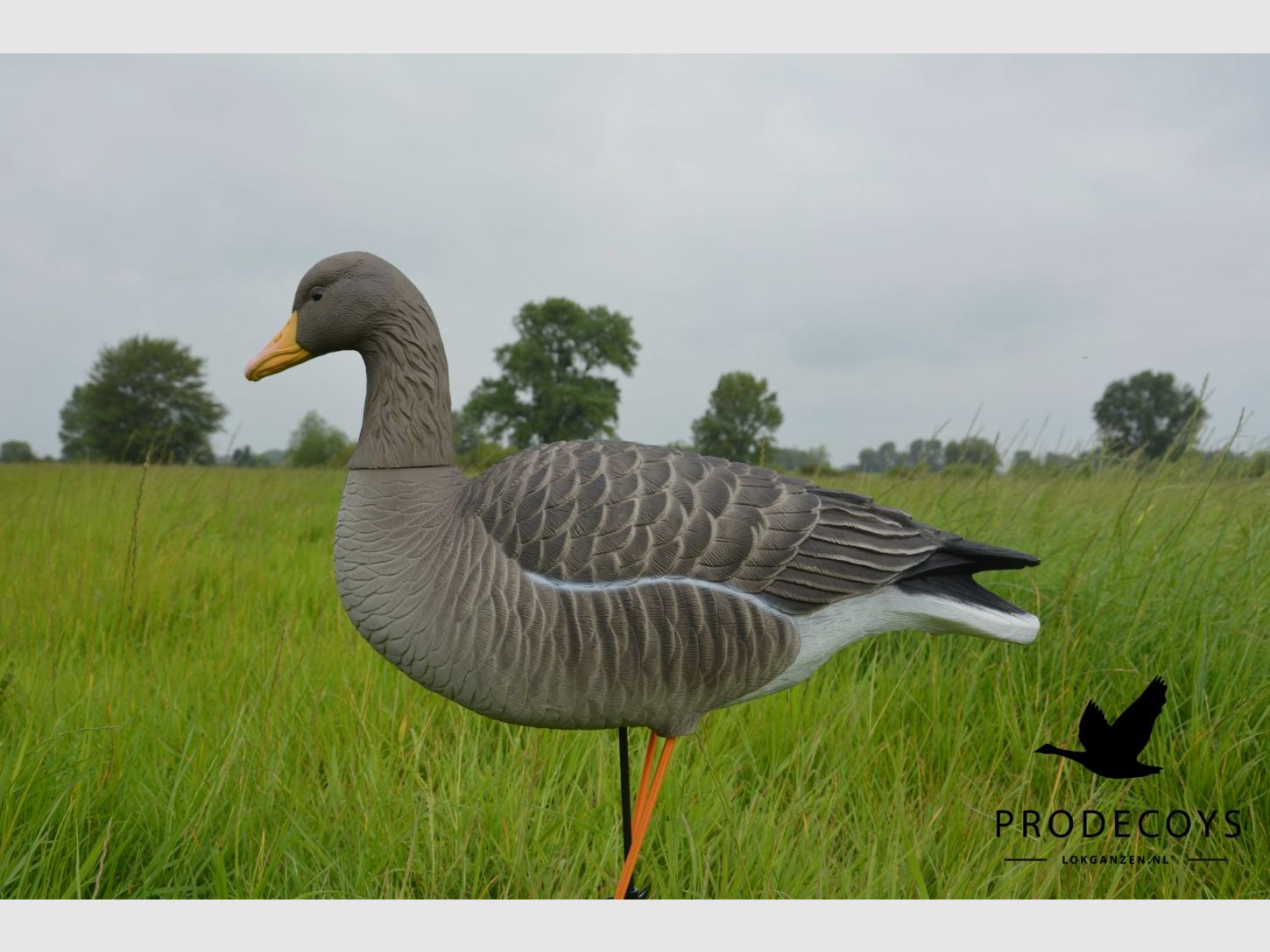 Prodecoys Elite Series Graugans-Lockvögel Full Body – 6er-Set, Bild 4 von 15