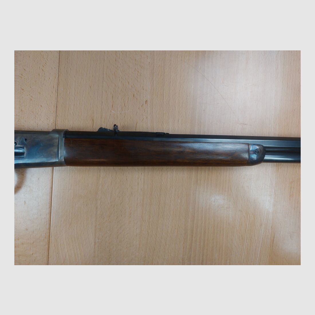 Chiappa M 1892