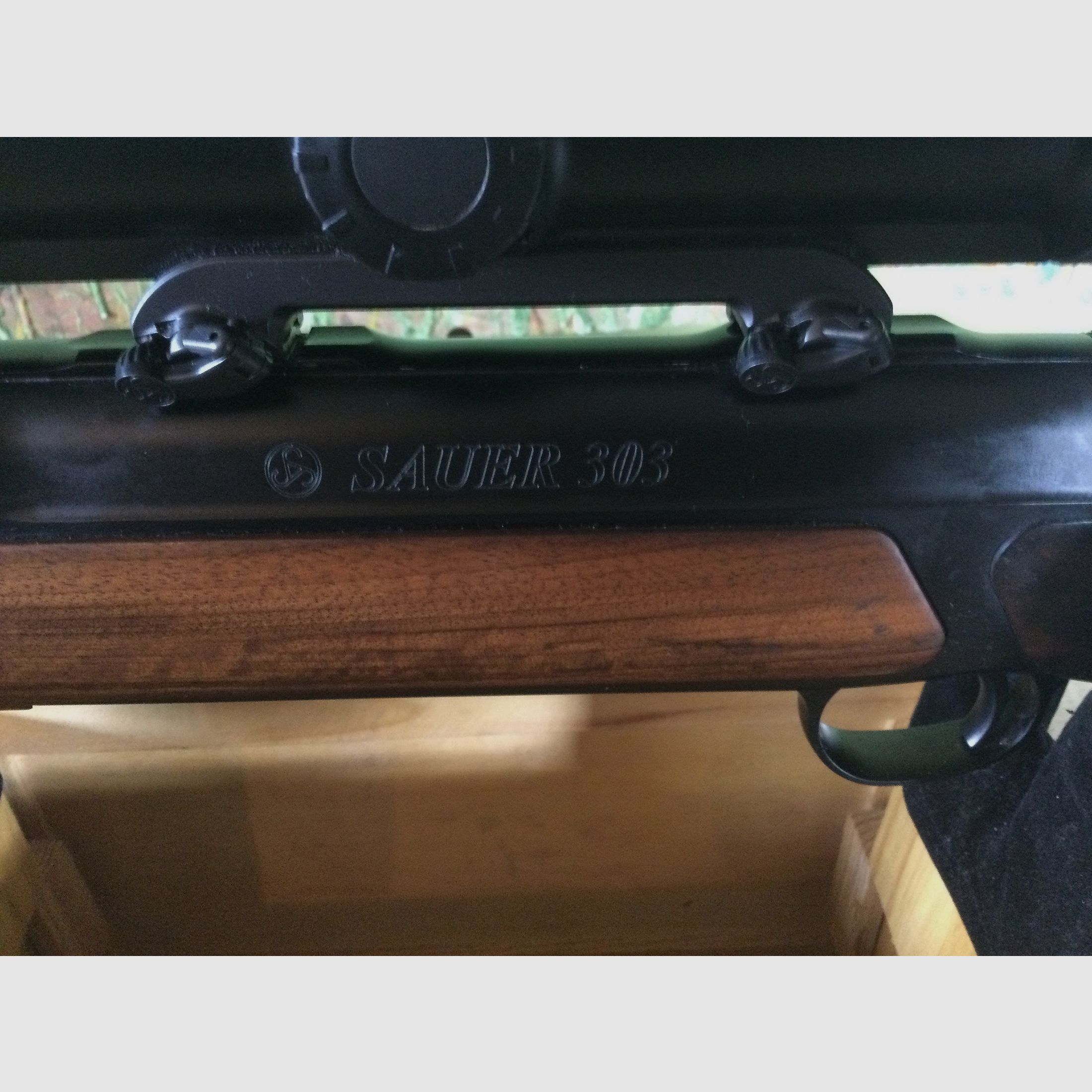 Sauer 303 GTI mit Zeiss Victory 1.1-8x30