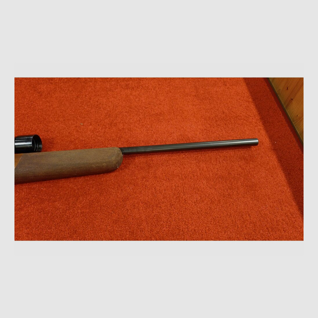 Walther .22Hornet