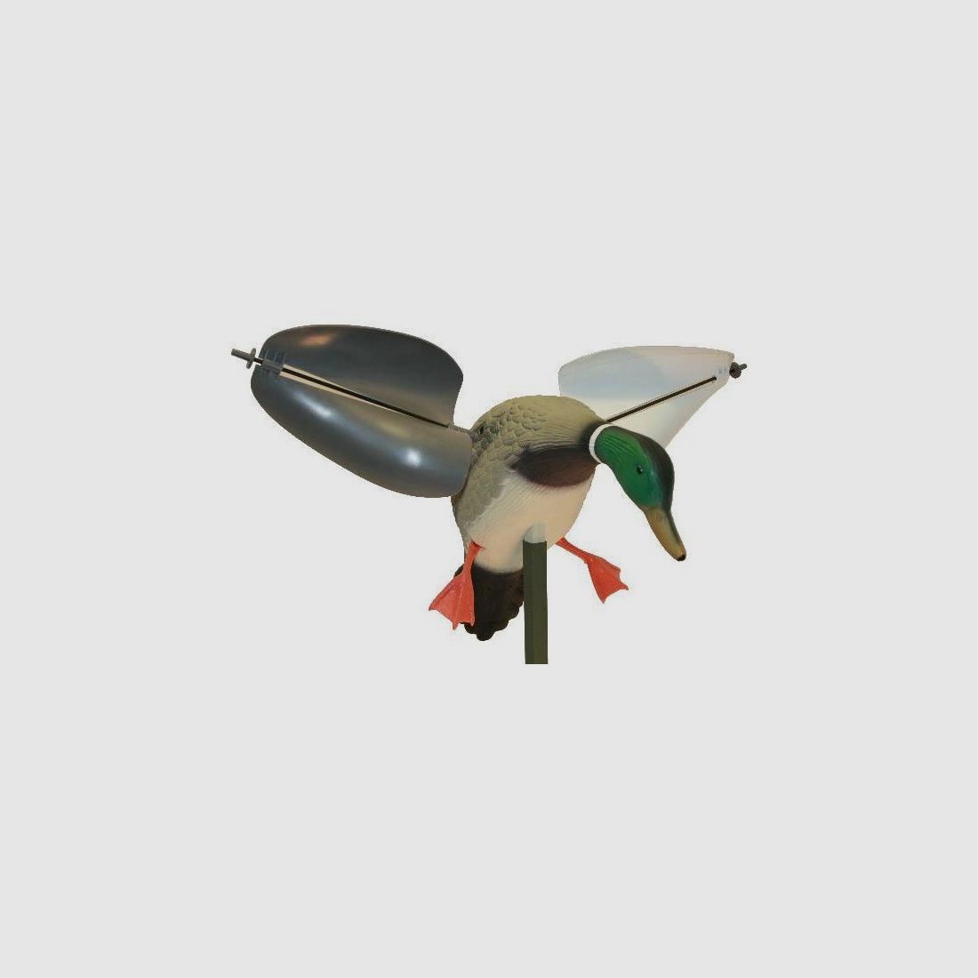 Mojo Wind männliche Gans