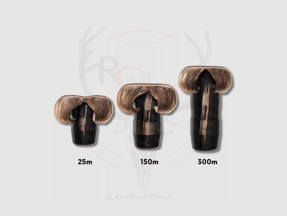 20 balles ODIN Cal.9.3X74R 230GRS NORMA, image 2 sur 6