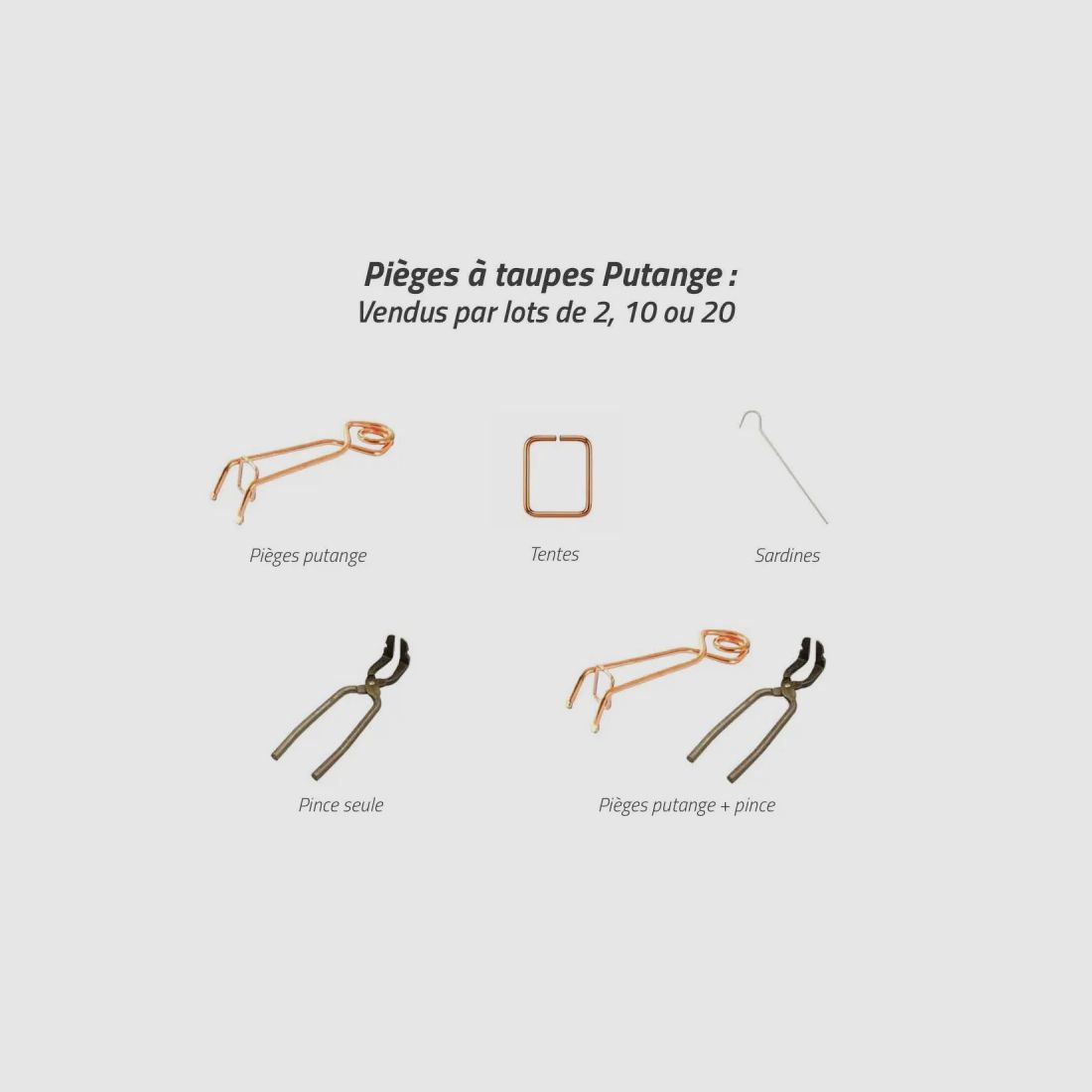 Set of 10 Putange traditional mole traps in copper-coated steel + pliers, image 14 of 17