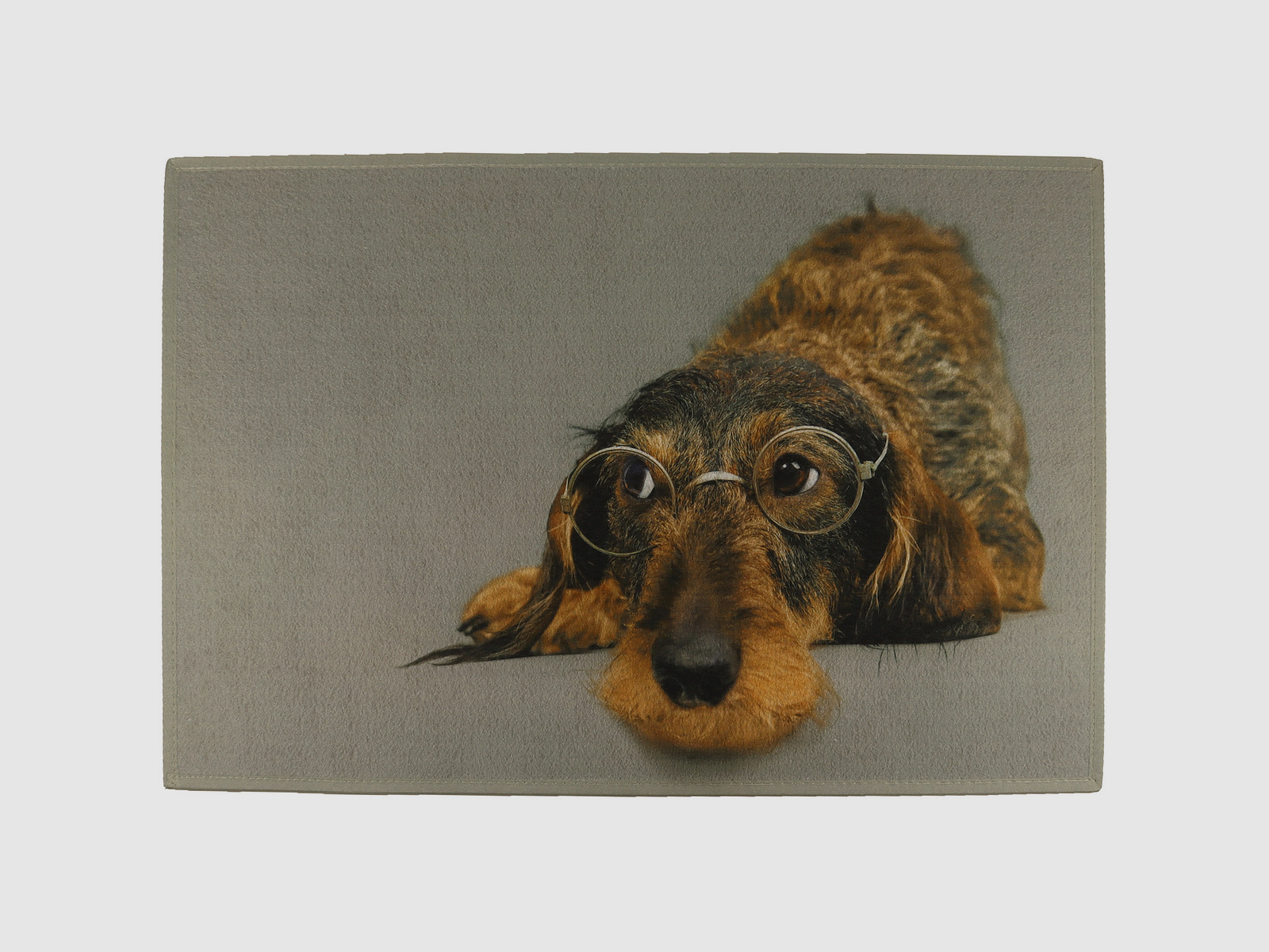 Fußmatte Dackel mit Brille 75x50cm