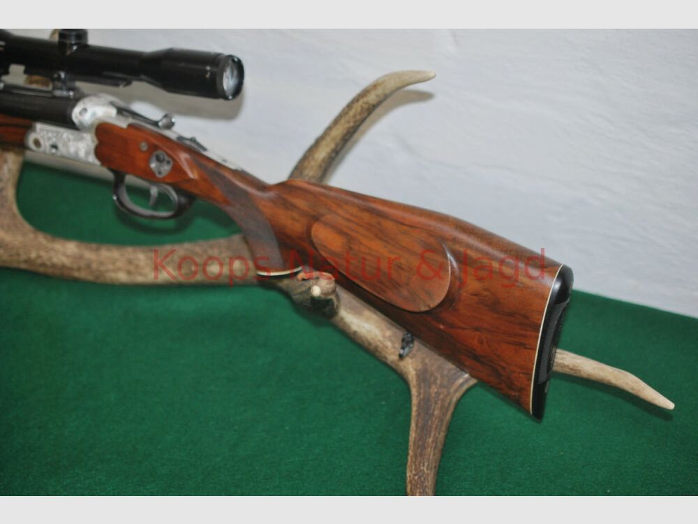 Sauer & Sohn 3000 AL