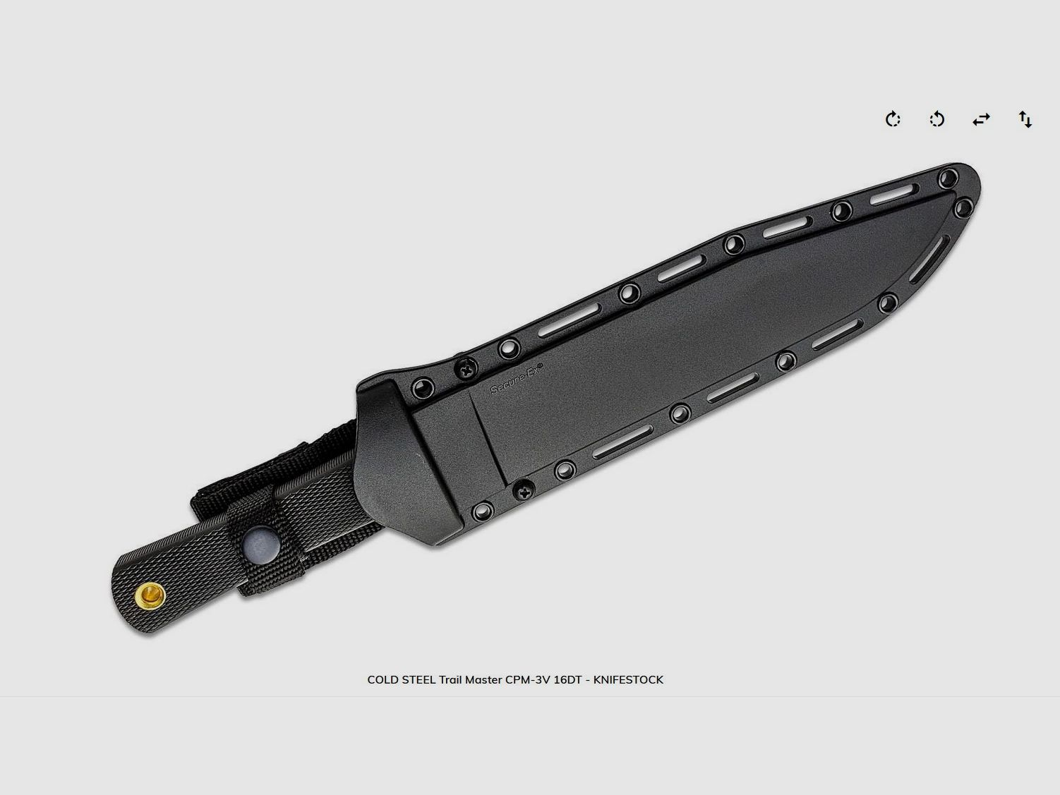 Cold Steel TRAIL MASTER Bowie CPM-3 V
