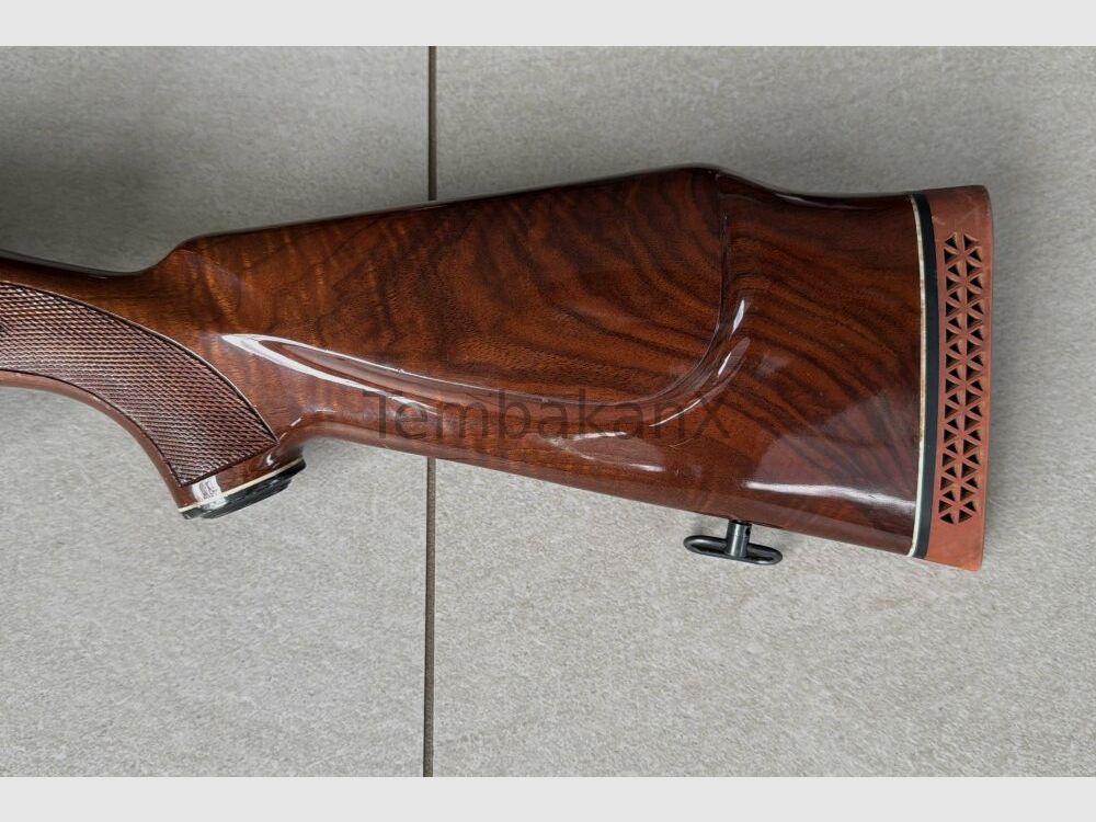 Interarms Marx X .30-06Spring