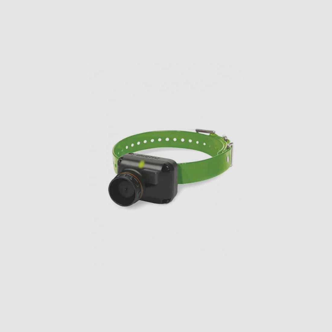 Trainingshalsband en Beeper 2600TB DOGTRA