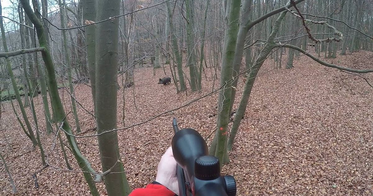 Driven hunts in Germany - Drückjagd in Deutschland - Driven hunts in ...