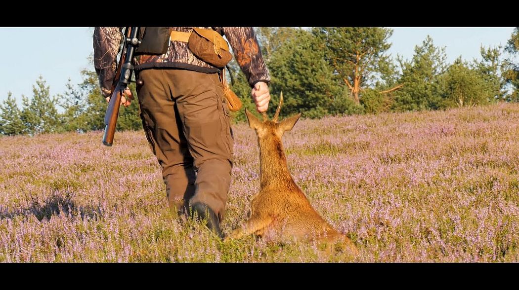 Rote Böcke, Lila Heide - Jagen fürs Herz