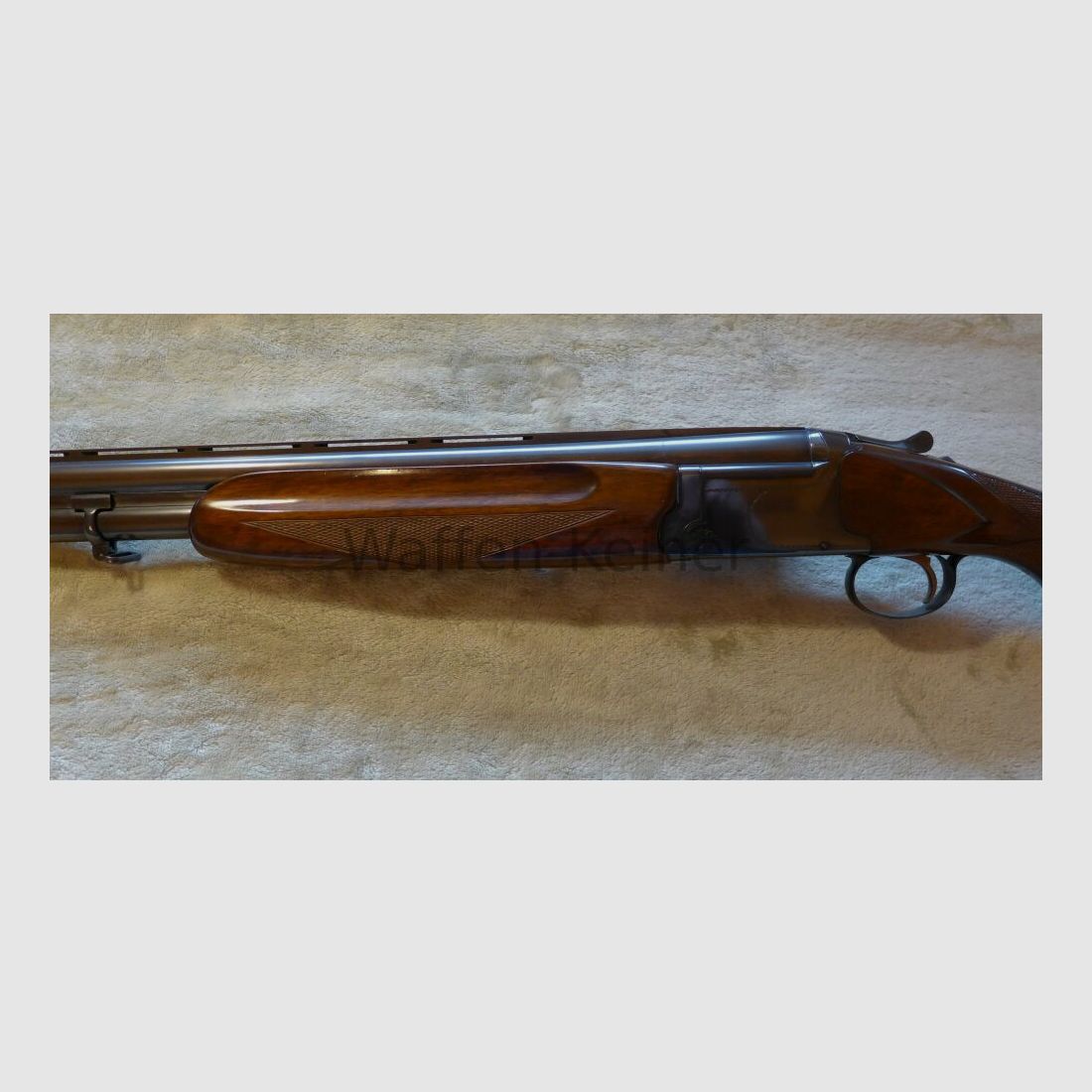 Kettner Mistral