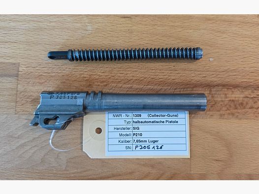SIG P210