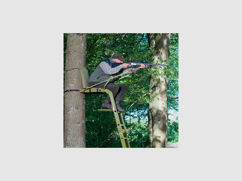 Sedia da albero procione |