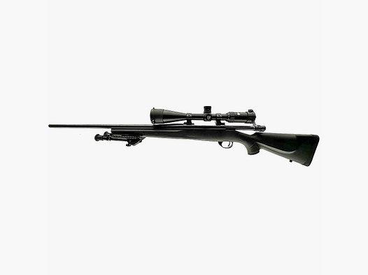 HOWA 1500 6.5×55 complete package