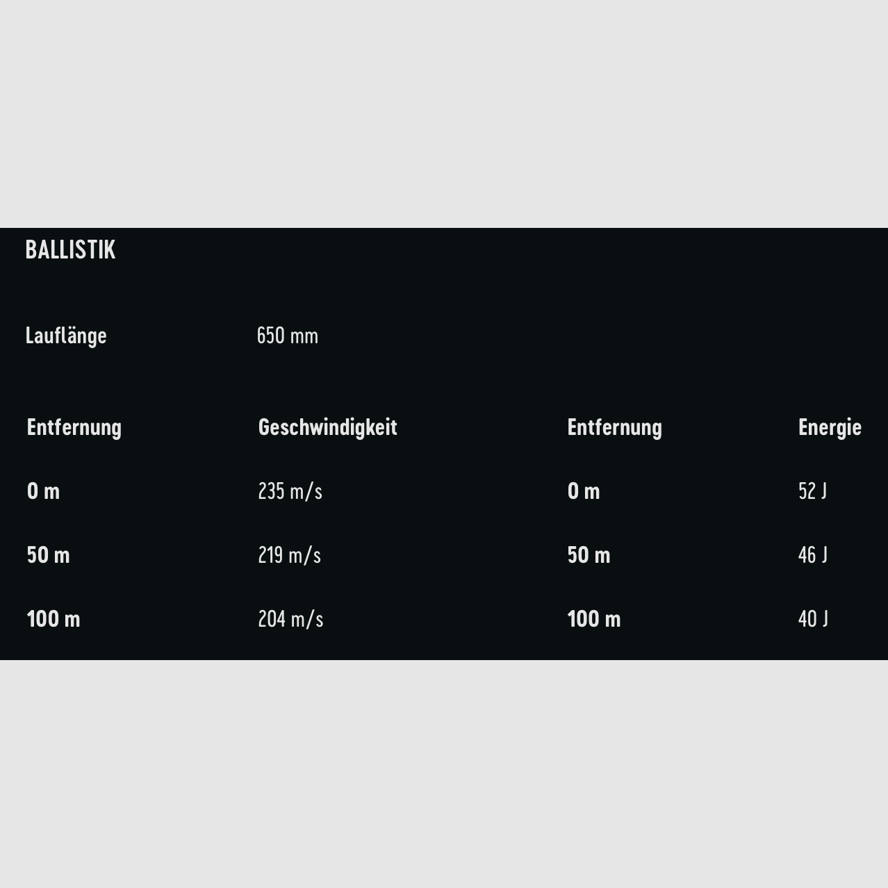 RWS .22 LR Z Lang 1,9 g 29,3 gr
