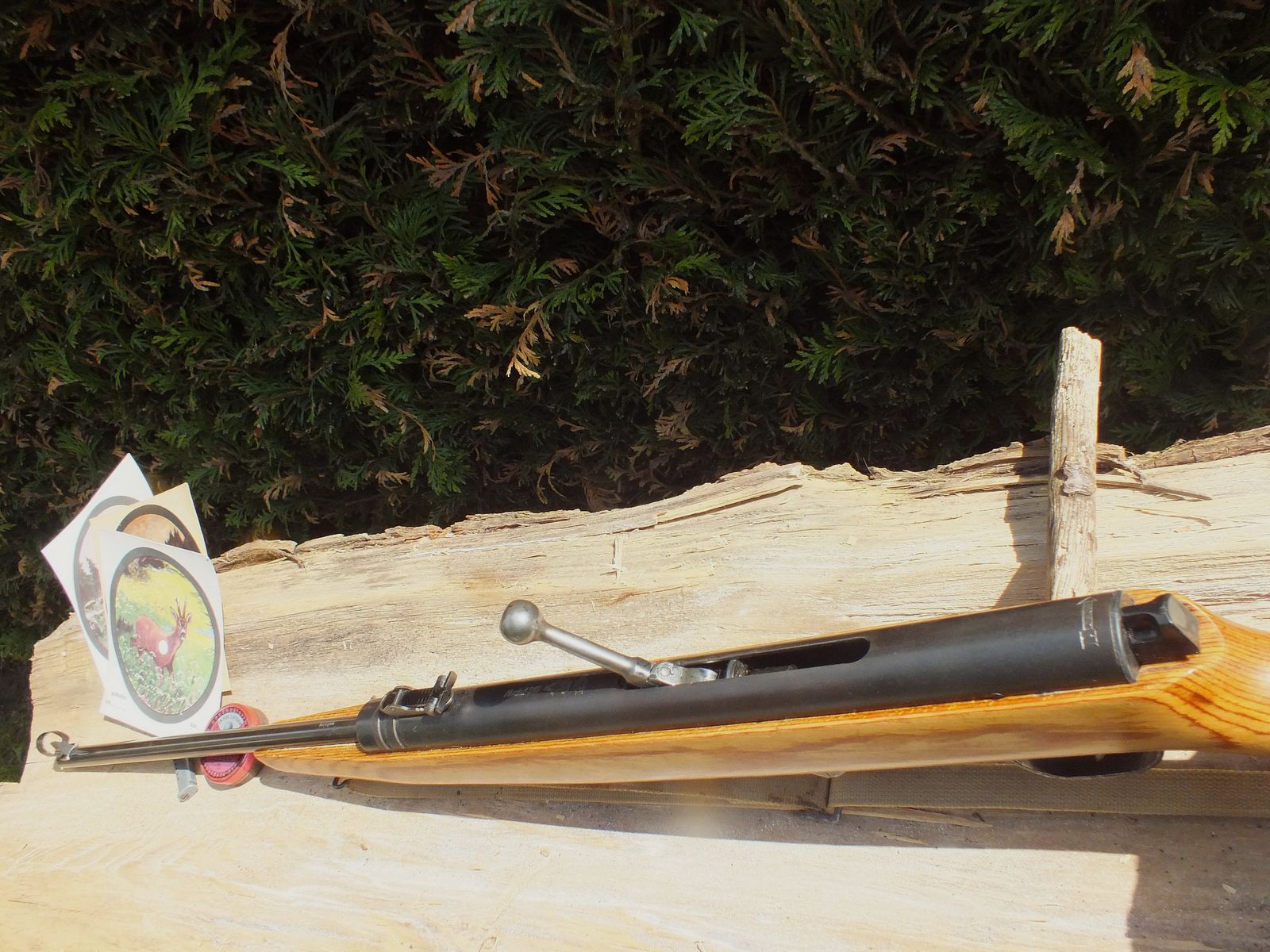 DDR- carabine à air 310-9 avec crosse en bois stratifié. Rare!