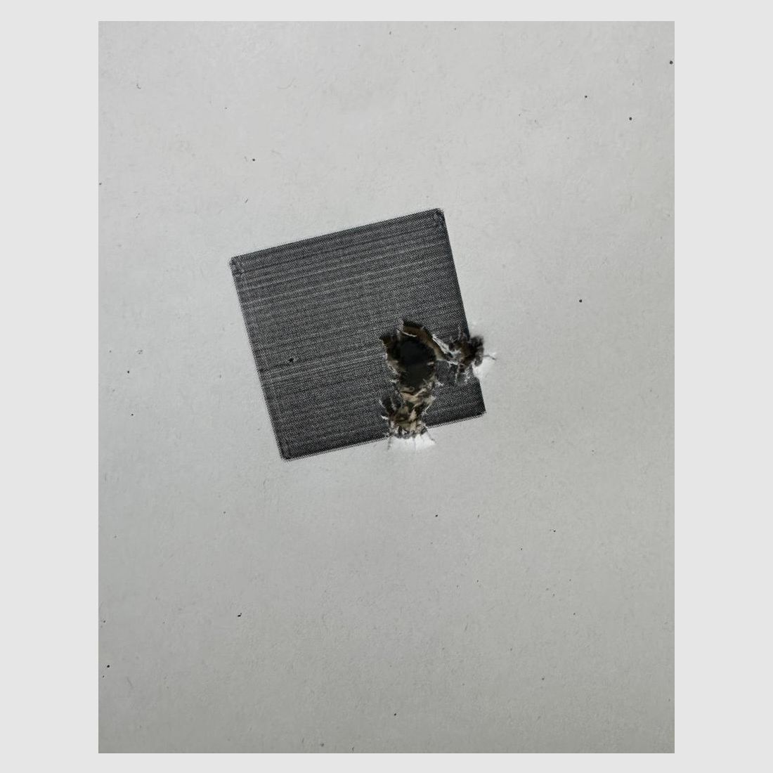 Mossberg MVP Precision - 24 cale - 6,5 Creedmoor