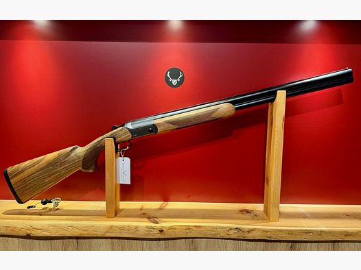 Blaser F16 Game