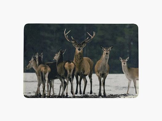 LivingActive Fußmatte Schnee Herde Hirsch 75x50 cm