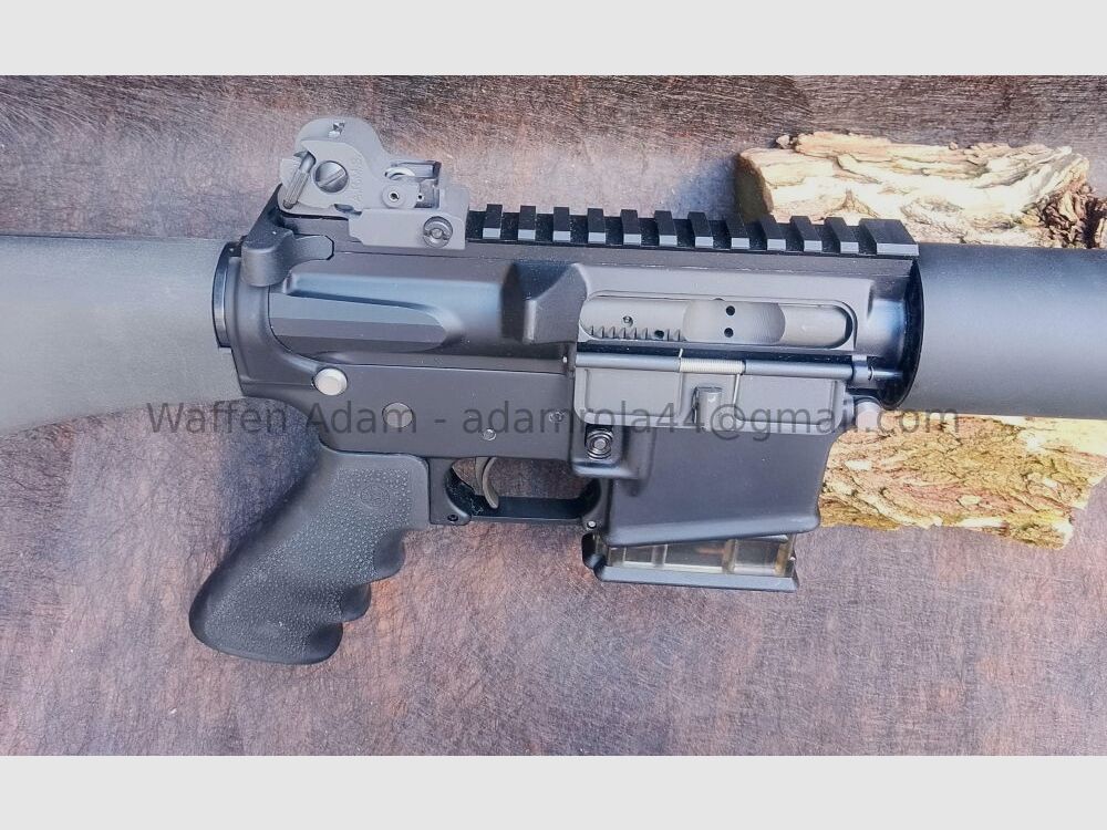 Olympic Arms, Oly, Washington AR 15, P. C. R