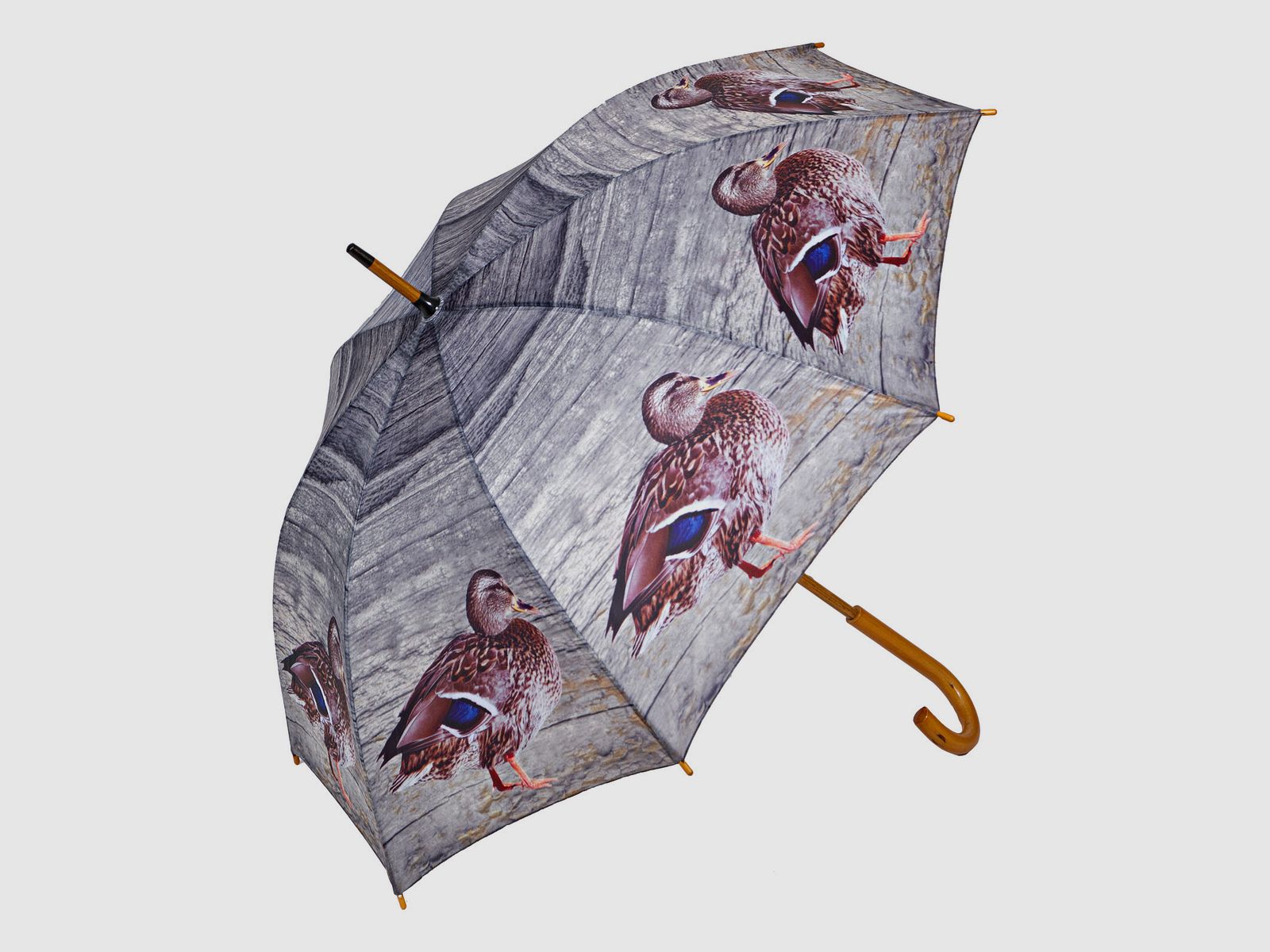 Regenschirm Enten