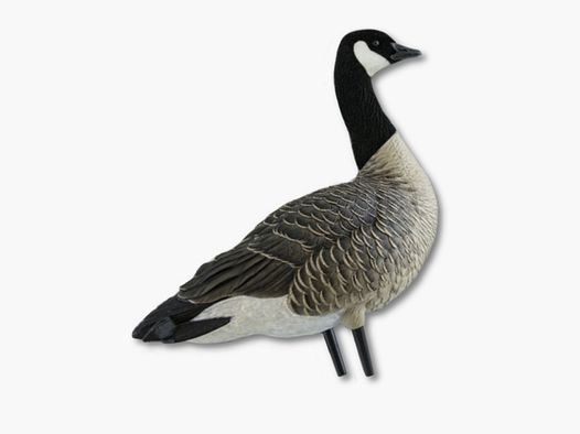 Avian-x Canada gans lokkers (6 st.) met flock