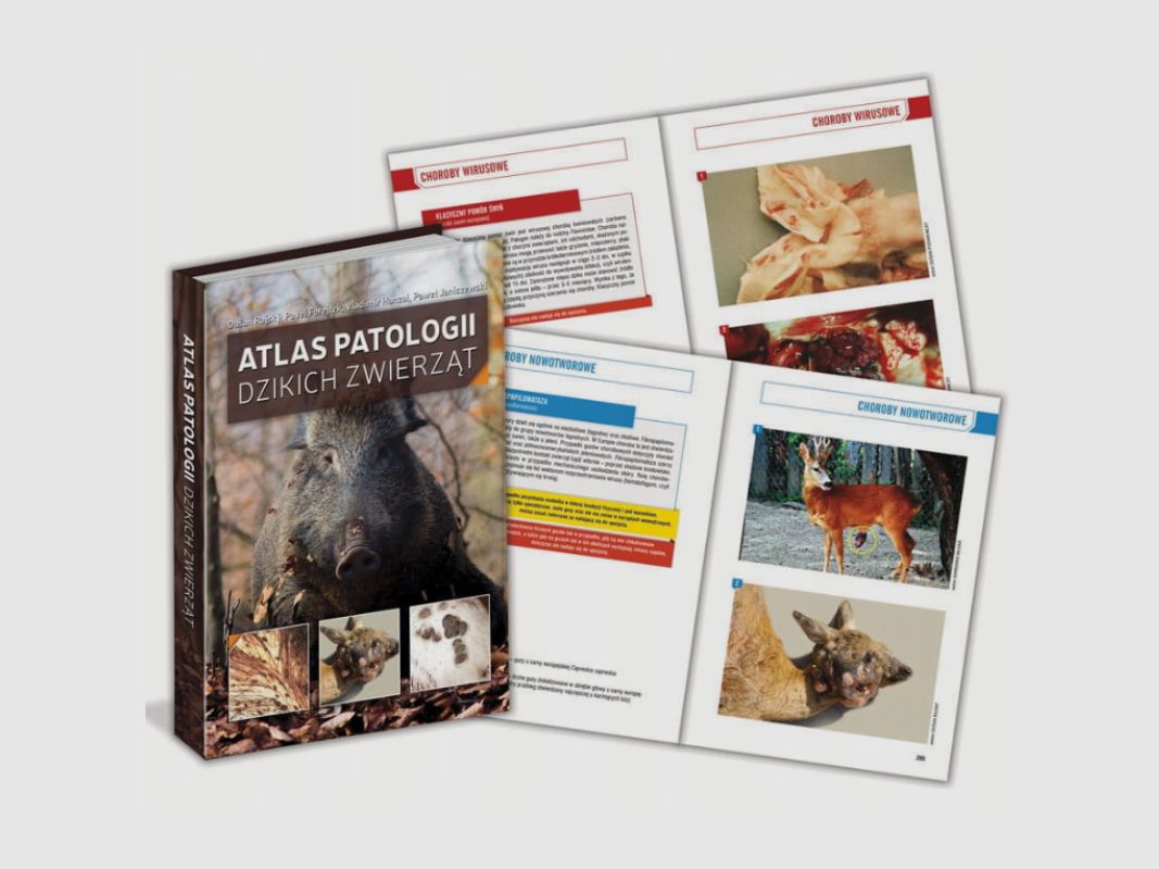 Atlas of Wildlife Pathology, image 2 of 6