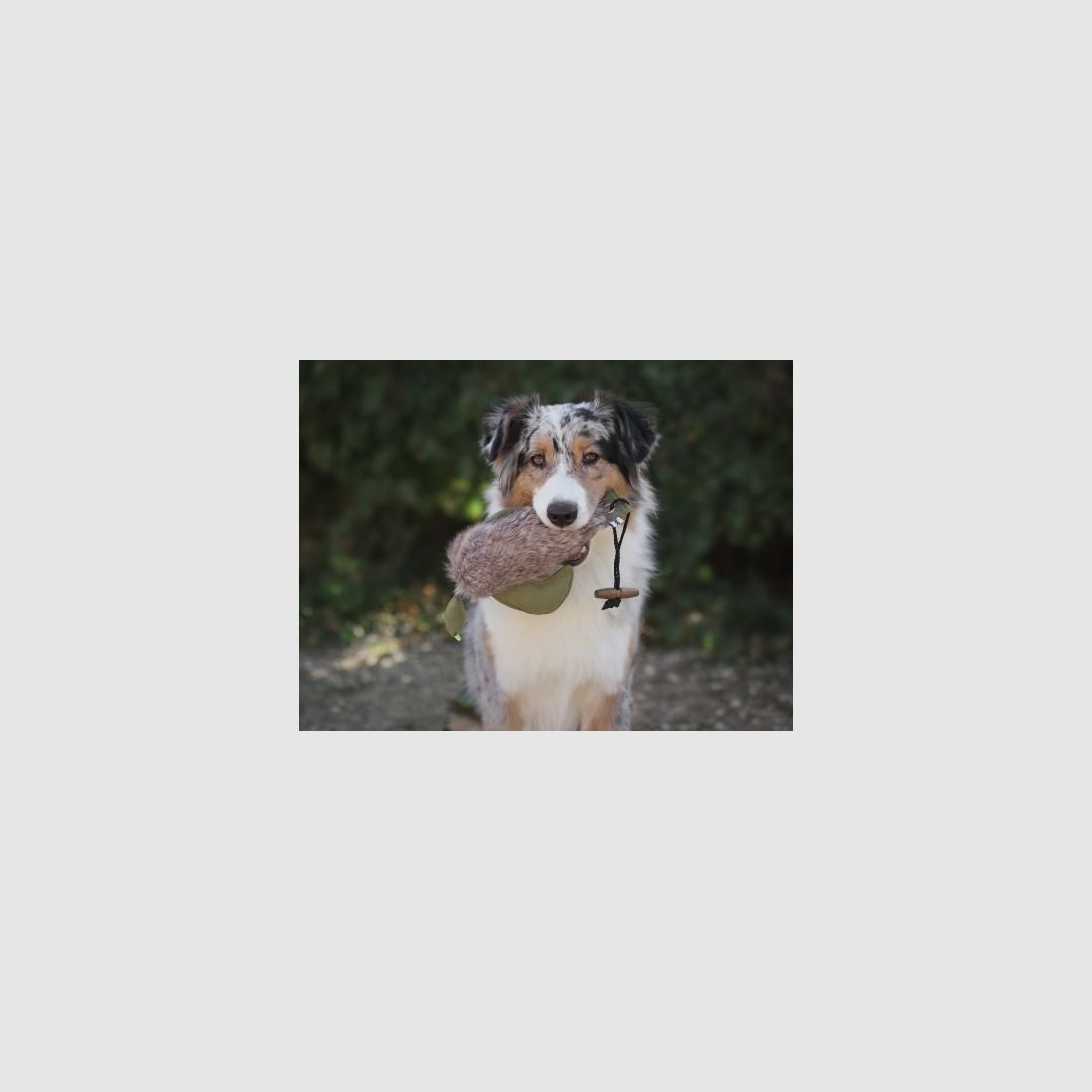 Farm-Land Hunde Dummy Ente mit Fell 300g