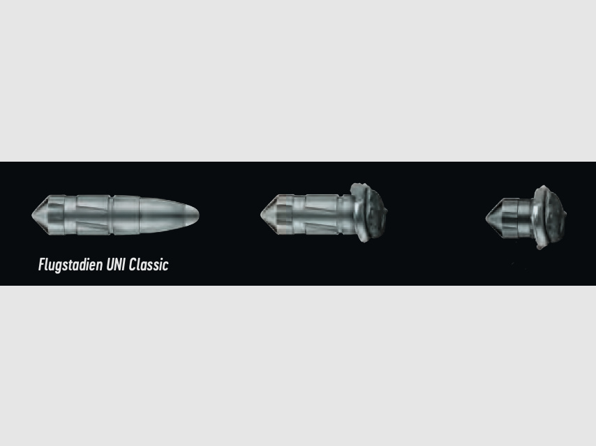 RWS 2119218 .30-06 Spring. UNI CLASSIC 11.7 g 180 grs.
