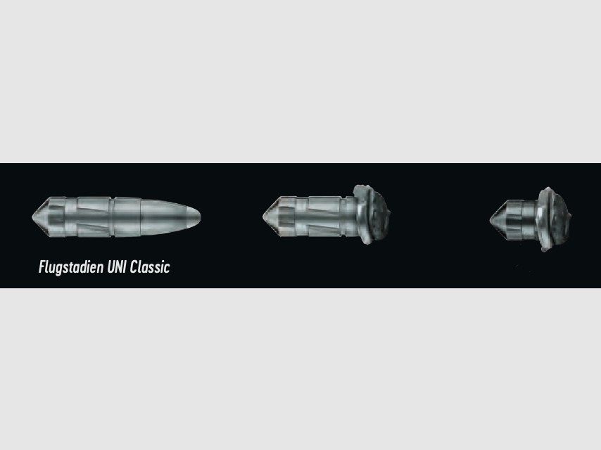 RWS 2119218 .30-06 Spring. UNI CLASSSIC 11,7 g 180 grs.
