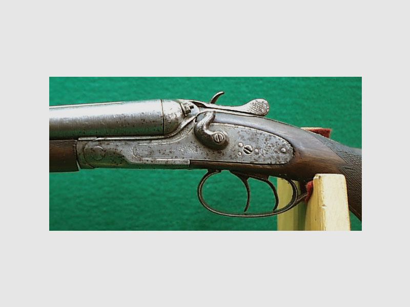 Double shotgun / hammer double shotgun