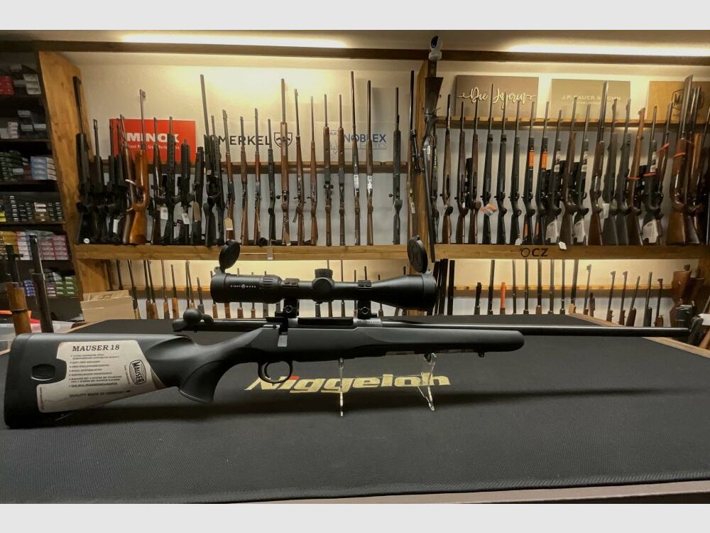 Mauser 18 .308Win