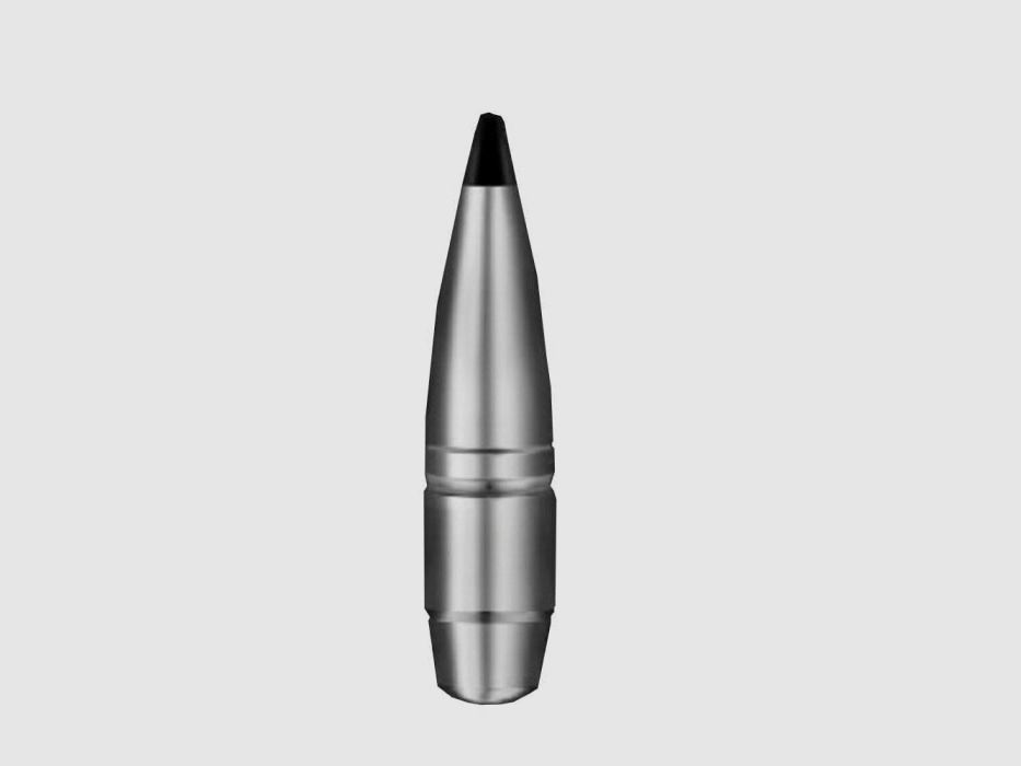 Balles RWS Speed Tip Pro - Cal. 7x64, image 3 sur 5