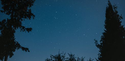 Die perfekte Begleiterin für nächtliche Anglerabenteuer – Die Zeltlampe fürs Angeln