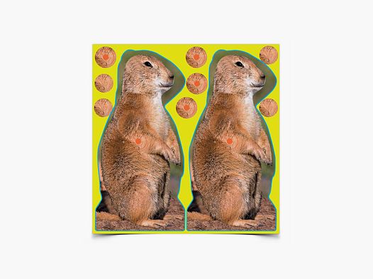 Birchwood Casey - Shoot NC 8" Prairie Chuck Target