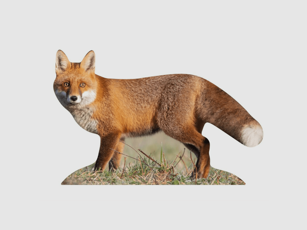 Support d'animal Renard