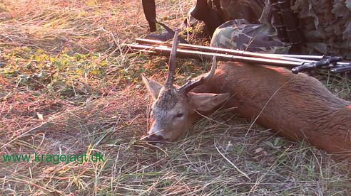 Bukkejagt 13-08-2017 / Roebuck stalking / Chasse au brocard / caza de corzo