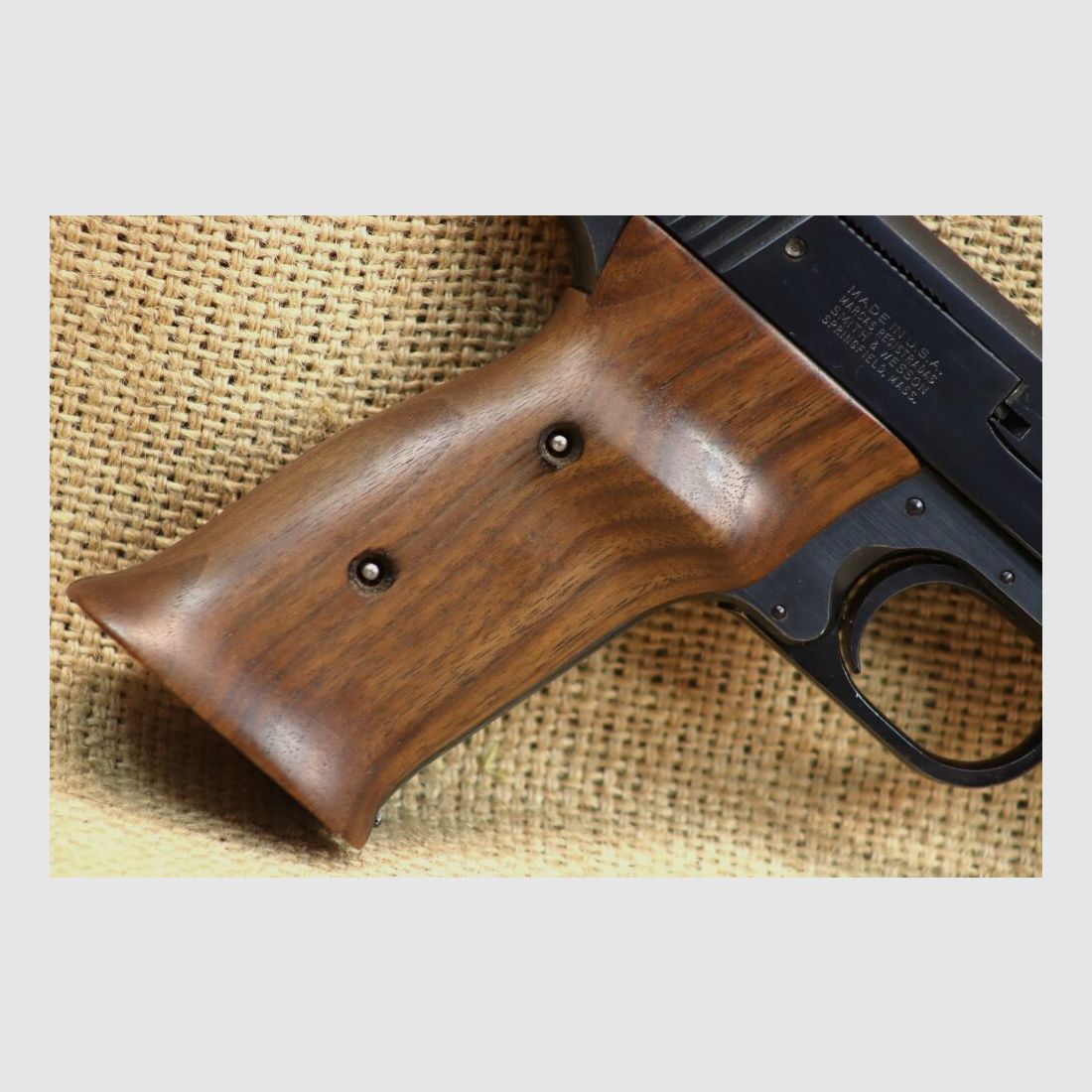 Smith & Wesson 41 .22lr