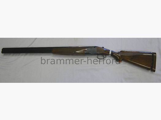 FN BDF-Rifle de articulación