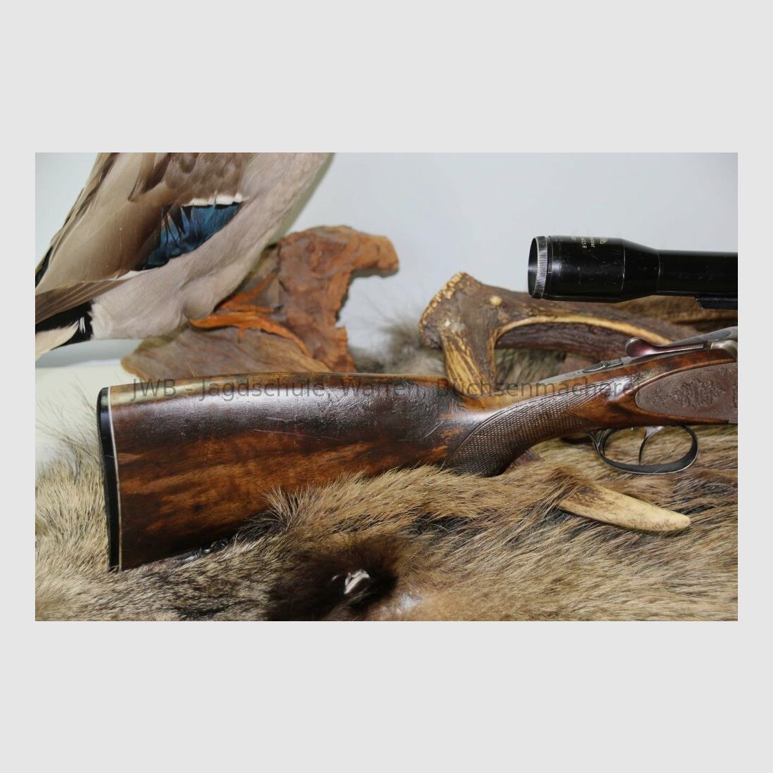 Antonio Zoli mit langen Seitenplatten - Frauenwaffe mit Schaftlänge 34 cm 7x57R; 16/70