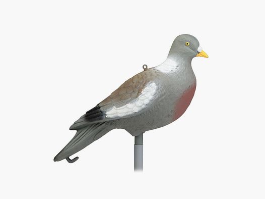 Forme de pigeon sans patte Stepland