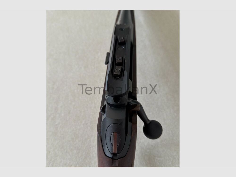 Haenel Jäger 10 incl. Dentler Montageschiene BASIS .308Win