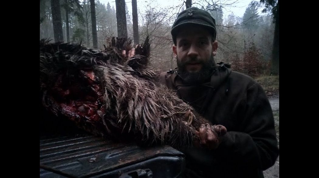 Wildschweinjagd in der Meute Drückjagd am Limit #Drückjagd #Wildschweinjagd