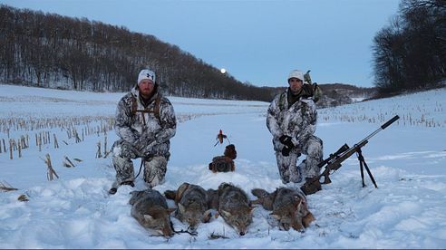 Coyote Hunting 5 Pack Amazing Footage "The Quad"