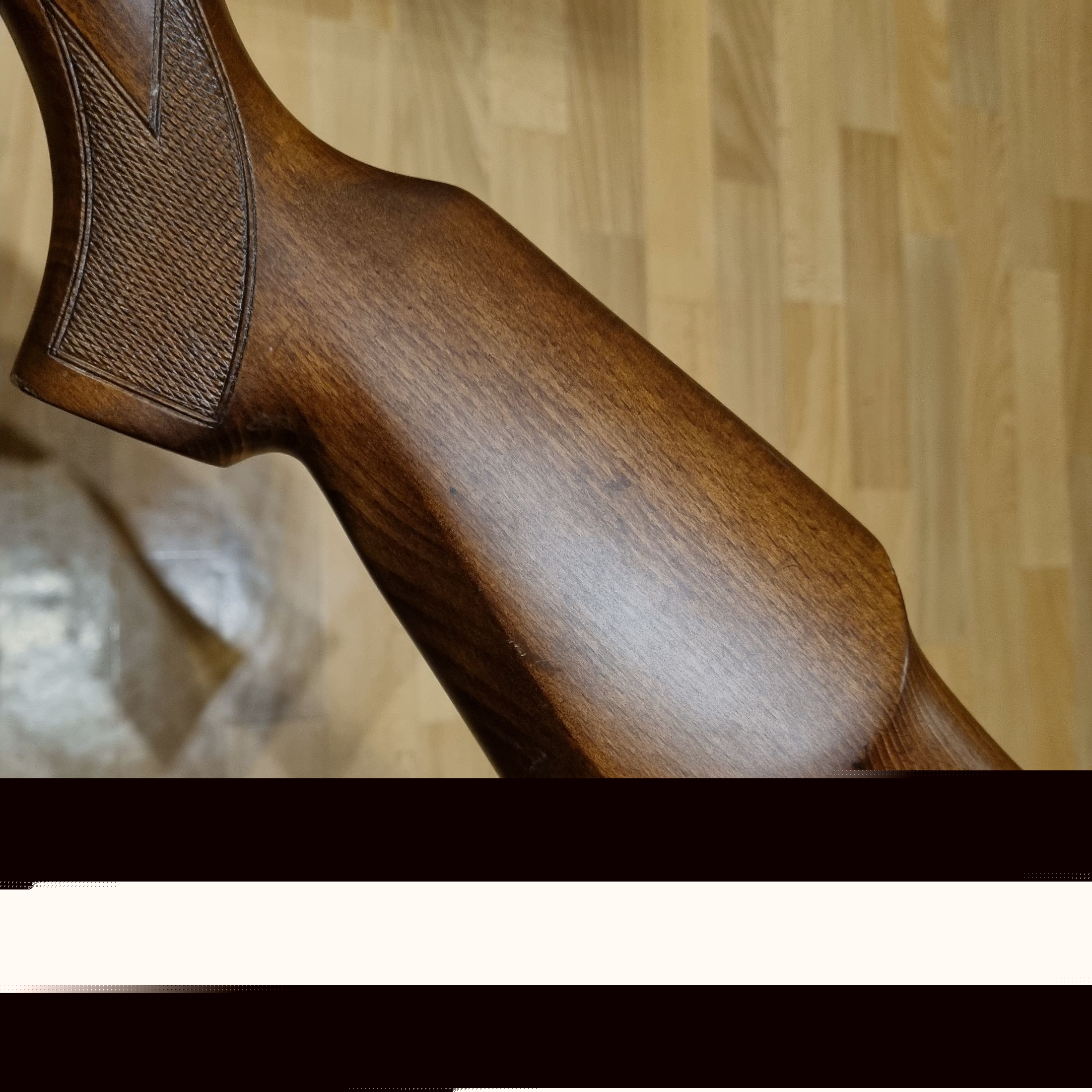 ⁵Incense HW 80 with ZF Gamo 4x20