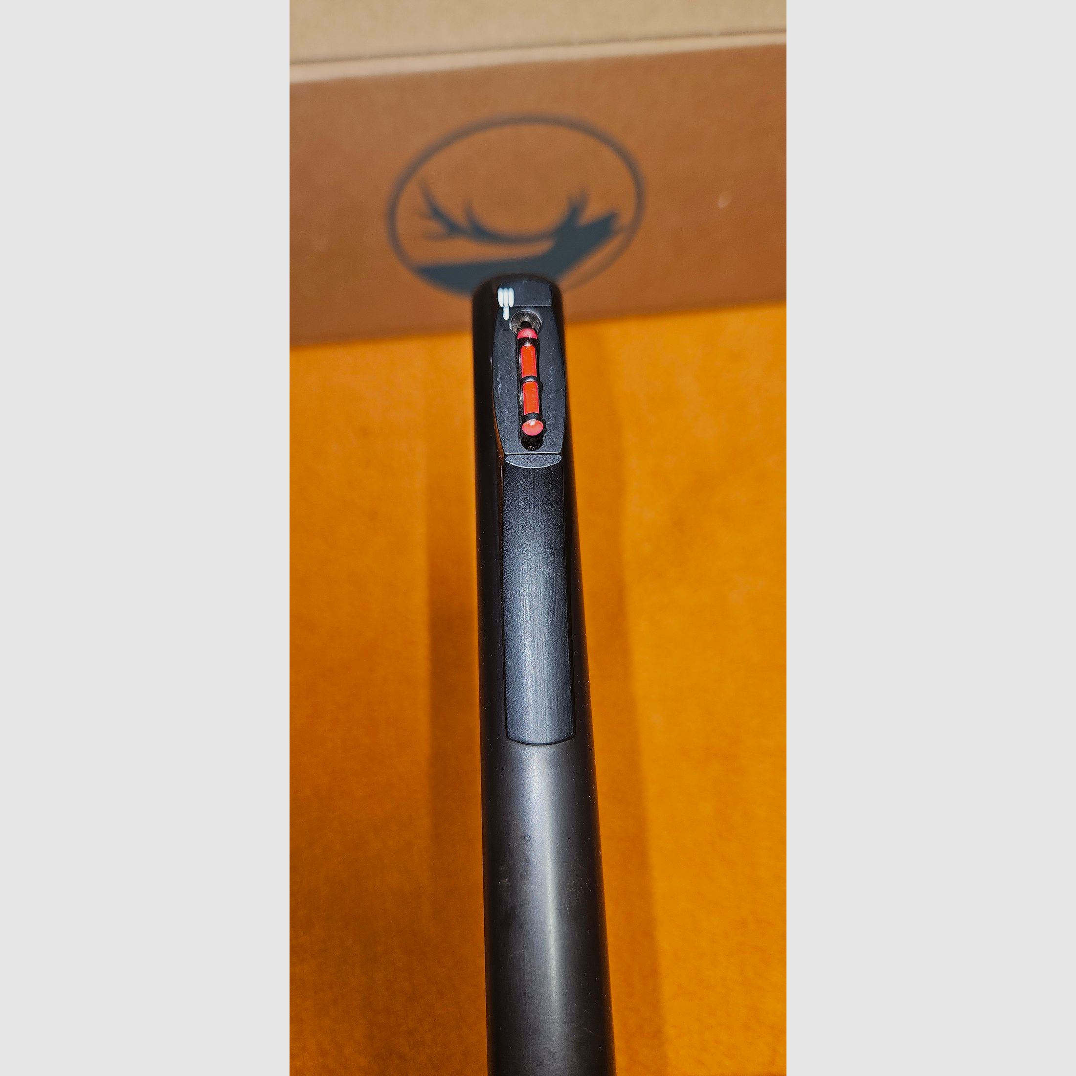 Sauer 303 Classic .30-06 mit Swarovski Z6i 1-6x24 SR & Sauer-Montage
