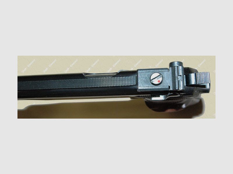 Walther PP-Sport