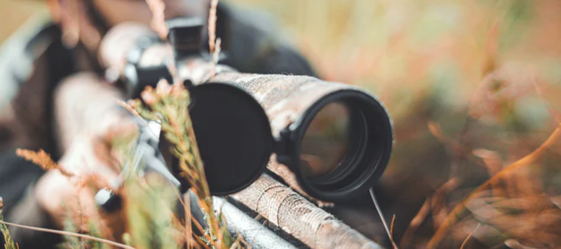 Das richtige Zielfernrohr für die Jagd